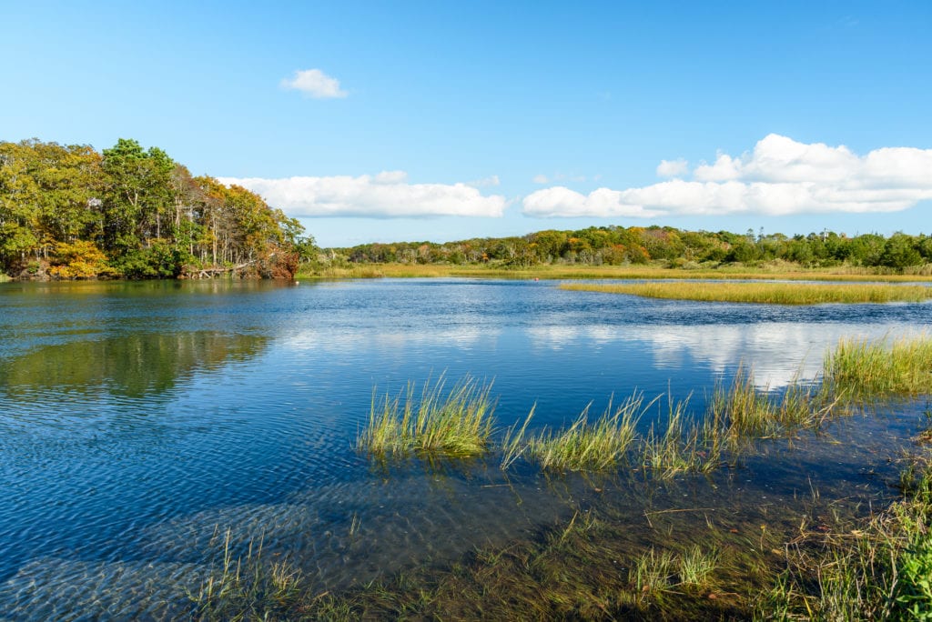 Protecting Chatham's Natural Climate Resilience | Cape Cod Climate ...