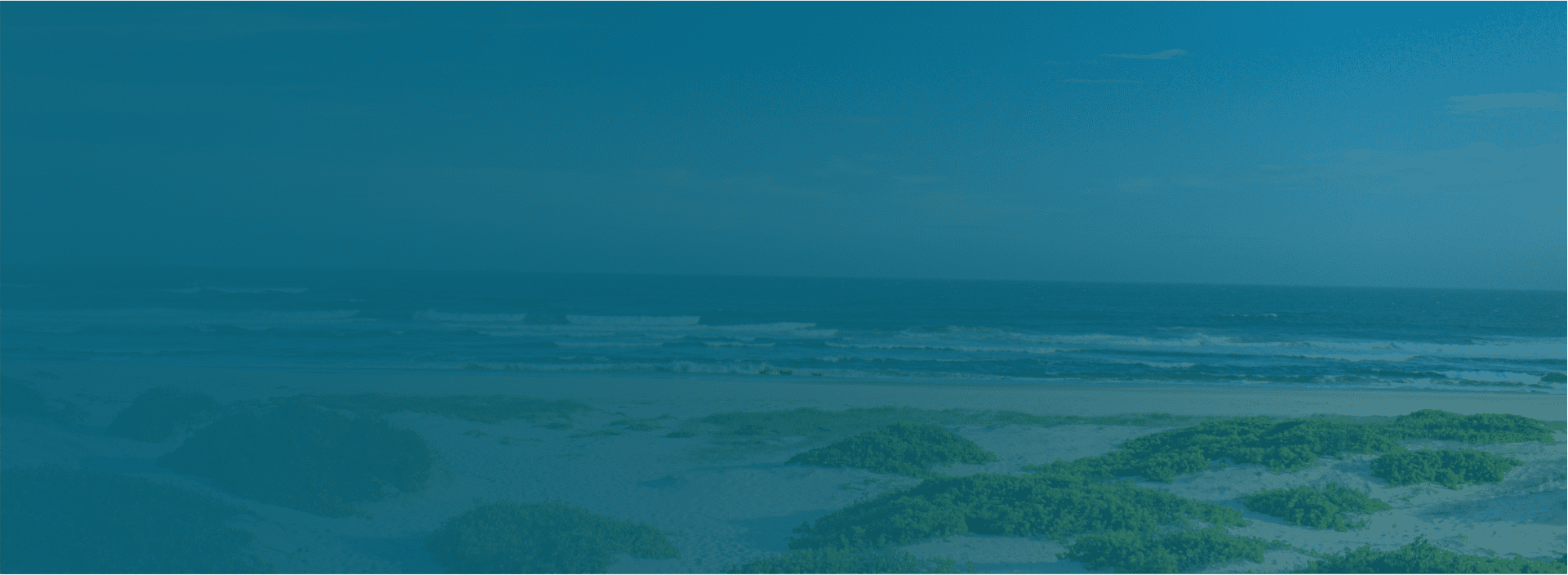 We Have the Power to Change Our Future | Cape Cod Climate Change ...